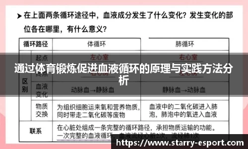 通过体育锻炼促进血液循环的原理与实践方法分析